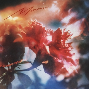 亚洲精品综合在线影院
